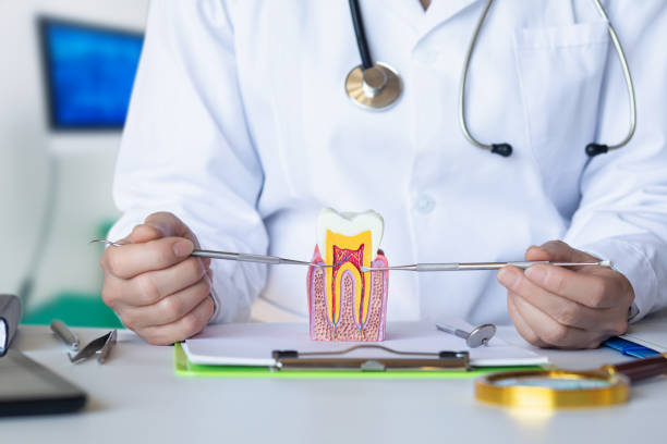 Best Broken Tooth Emergency  in Stuttgt, AR